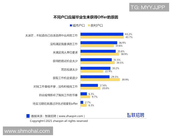 探索成都攀岩队的协作能力与表现分析之路